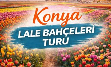 KONYA LALE BAHÇELERİ